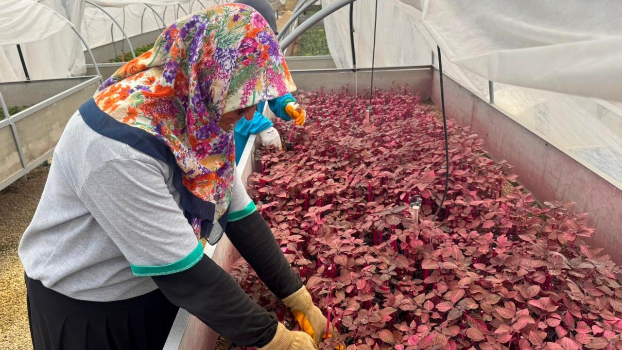 Alanya Belediyesi’nde kadınlar sahada