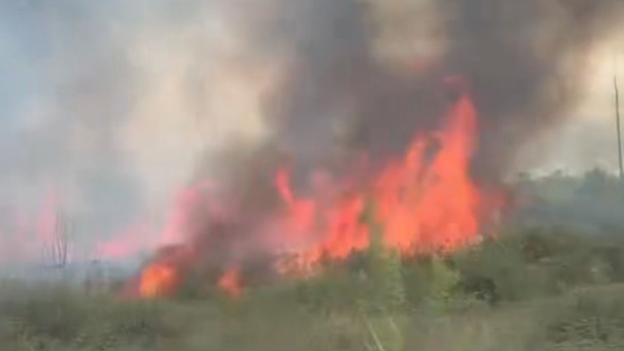 Düzce’de yol kenarındaki yangın güçlükle söndürüldü