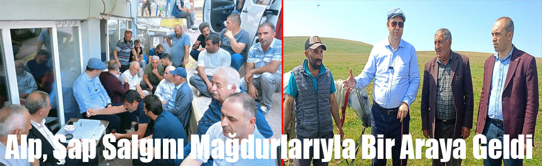 Milletvekili Alp: Kars ve Ardahan afet kapsamına alınsın