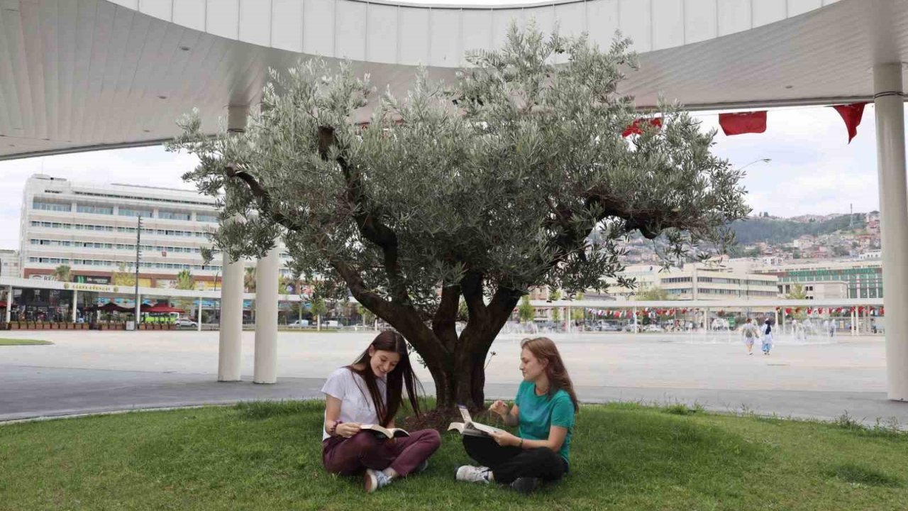 Milli İrade Meydanı’na 300’den fazla ağaç dikildi