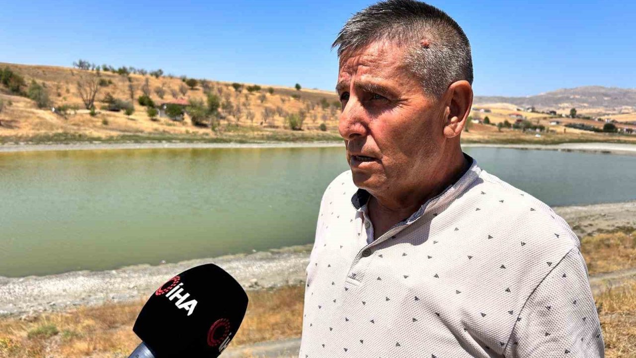 Kızılca Göleti’nde 2’nci yılın acı tablosu: Çürüyen balıklar ve kötü kokan su yatağı