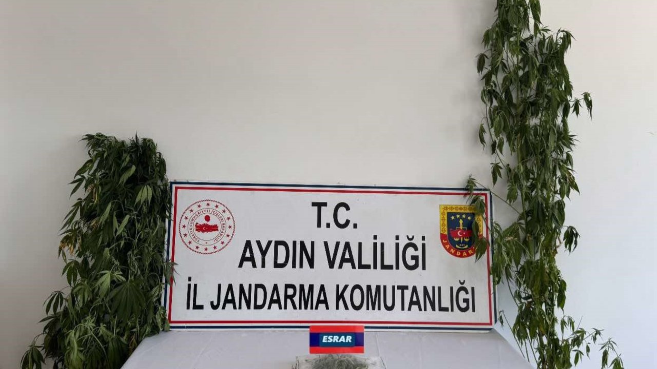 Aydın’da uyuşturucu operasyonu: 13 şüpheli yakalandı