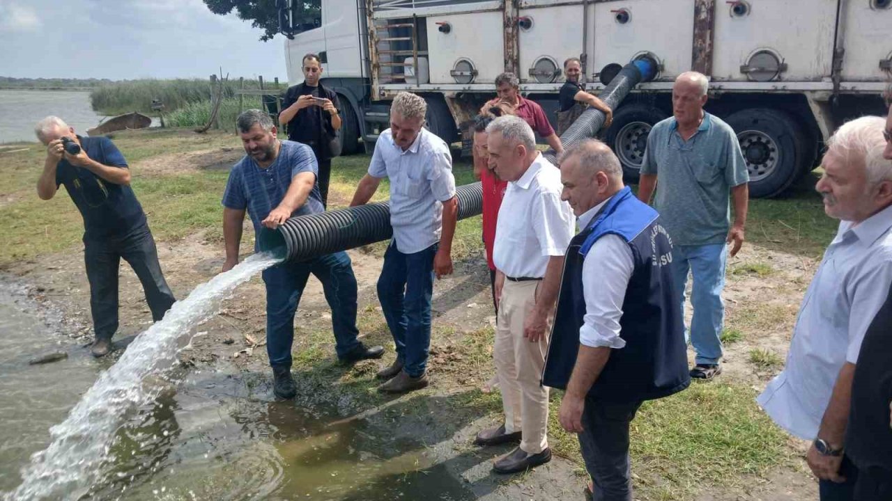 Samsun’da yaklaşık 2,5 milyon sazan su kaynaklarına bırakıldı