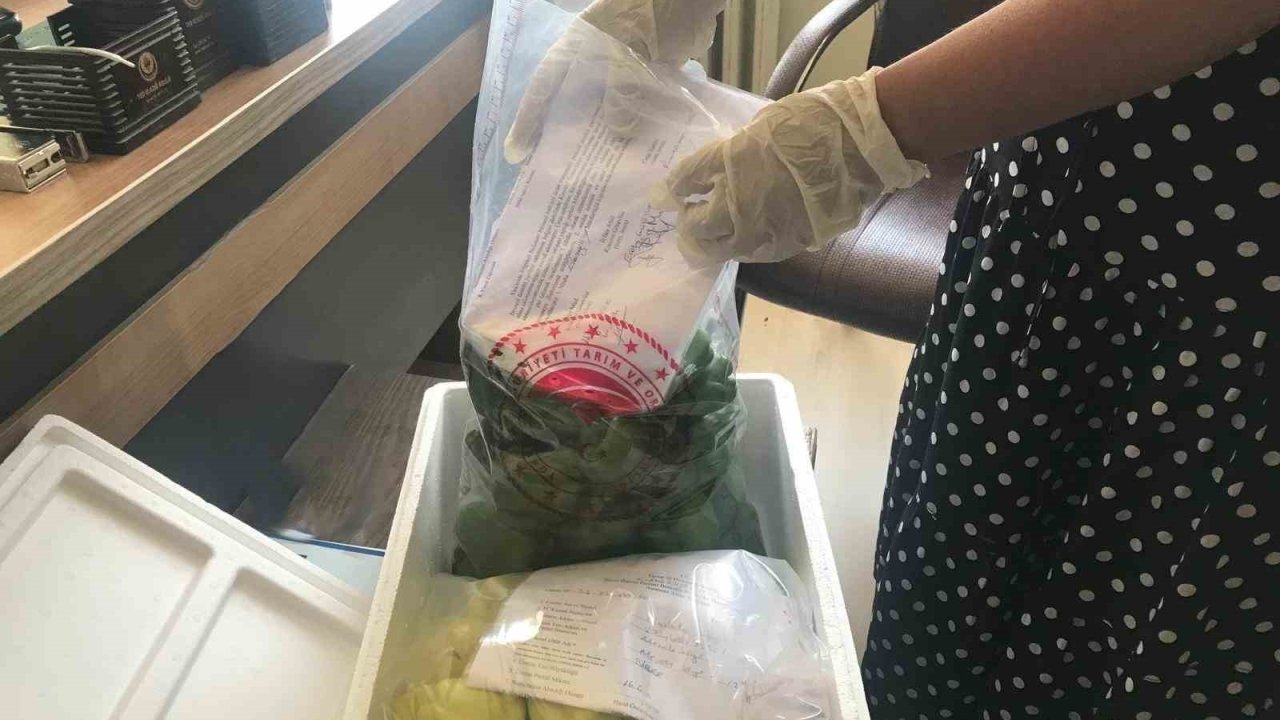 Elazığ’da pestisit denetimleri sürüyor