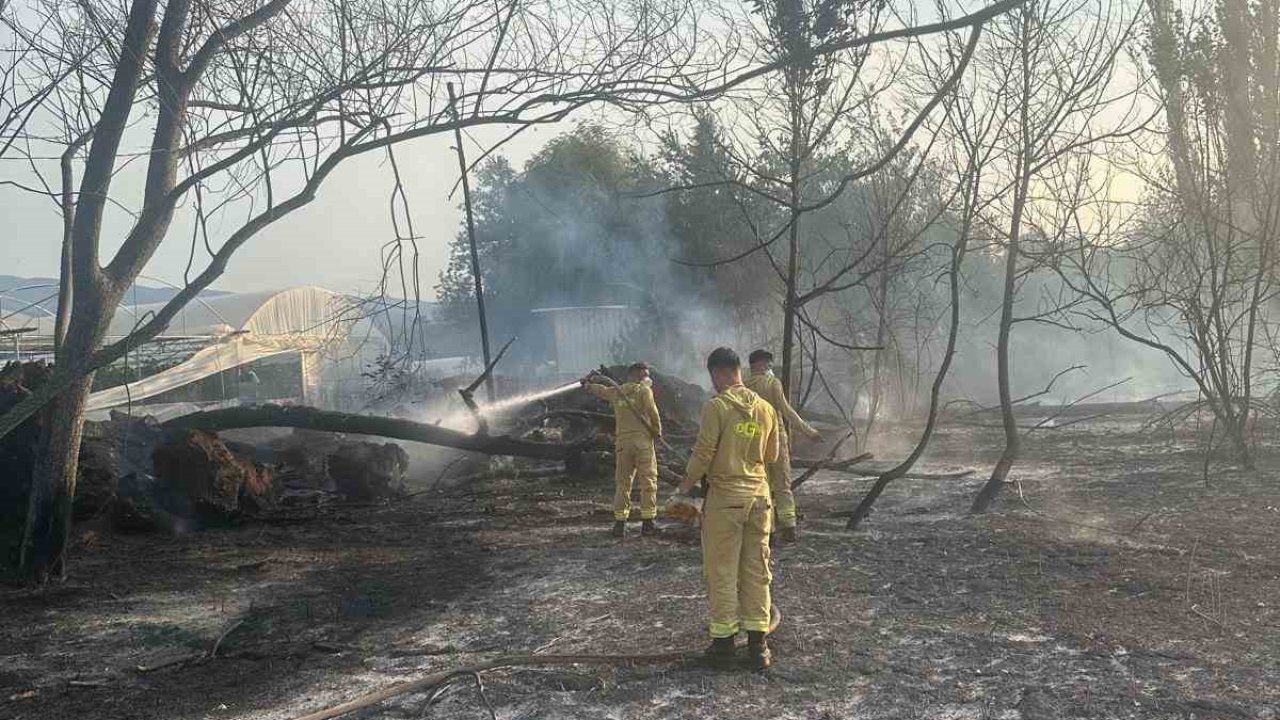 Anız yangınına itfaiye ekipleri müdahale etti