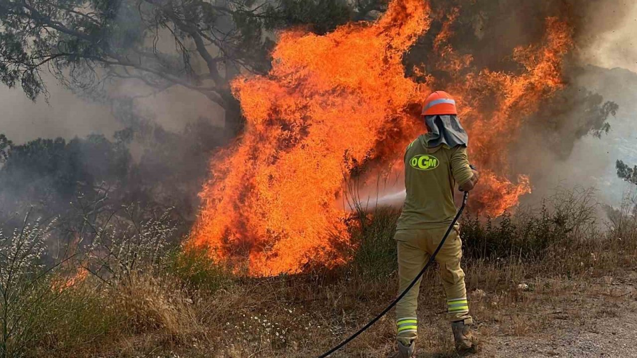 Aydın’da ormanlar için kırmızı alarm