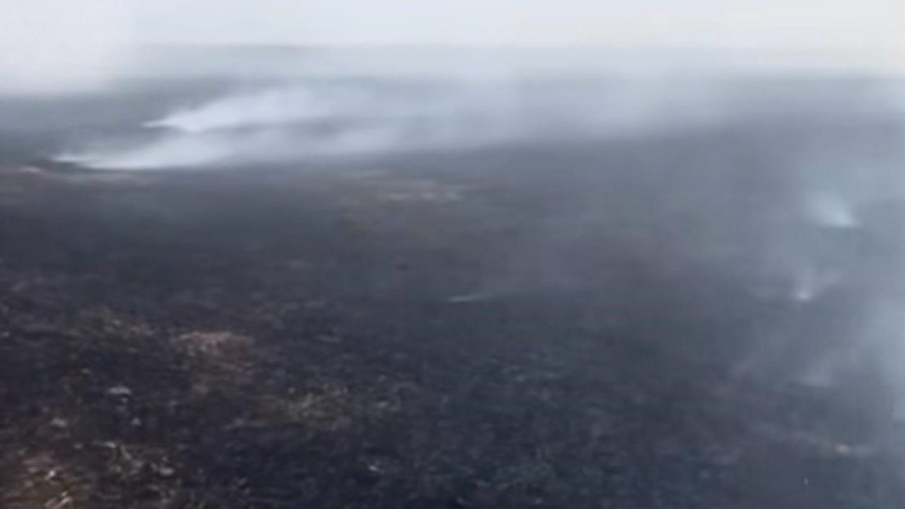 Hayrabolu’da anız yangını kontrol altına alındı