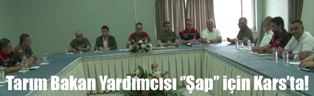 Bakan Yardımcısı Gümen, Kars'ta şap hastalığını değerlendirdi