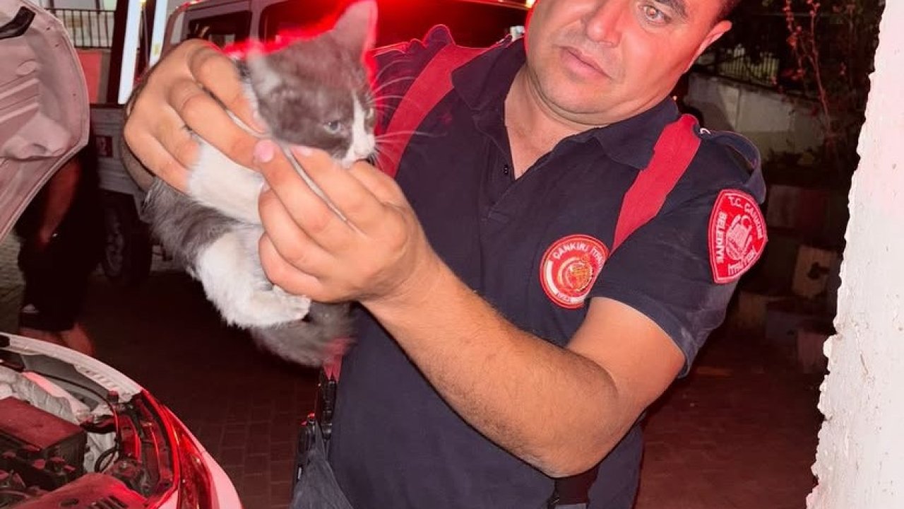 Otomobilin motor kısmına girerek sıkışan yavru kedi ekipleri seferber etti
