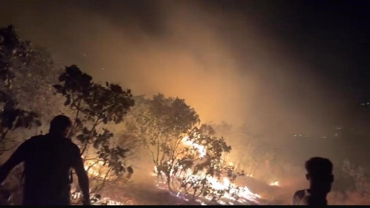 Diyarbakır’da ormanlık alanda çıkan yangın söndürüldü