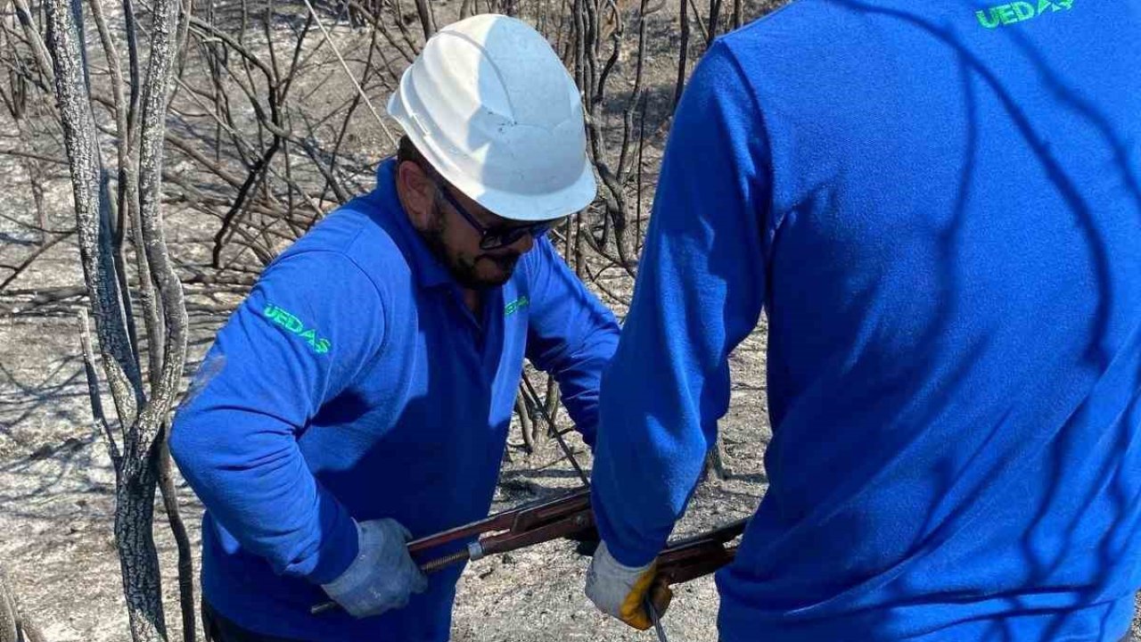 Enerji hatları yangının ardından yeniden onarılıyor