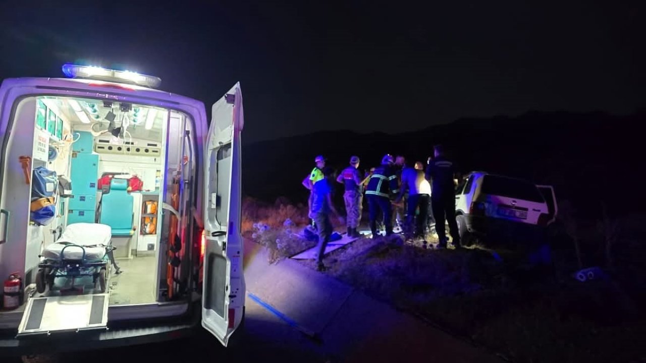 Bingöl’de otomobil ata çarptı: 2 yaralı