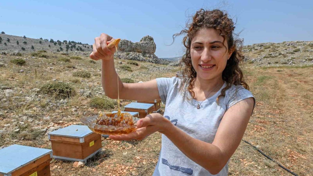 Mersin’de ‘Altın Kovan Projesi’ ile arı yetiştiriciliğine destek