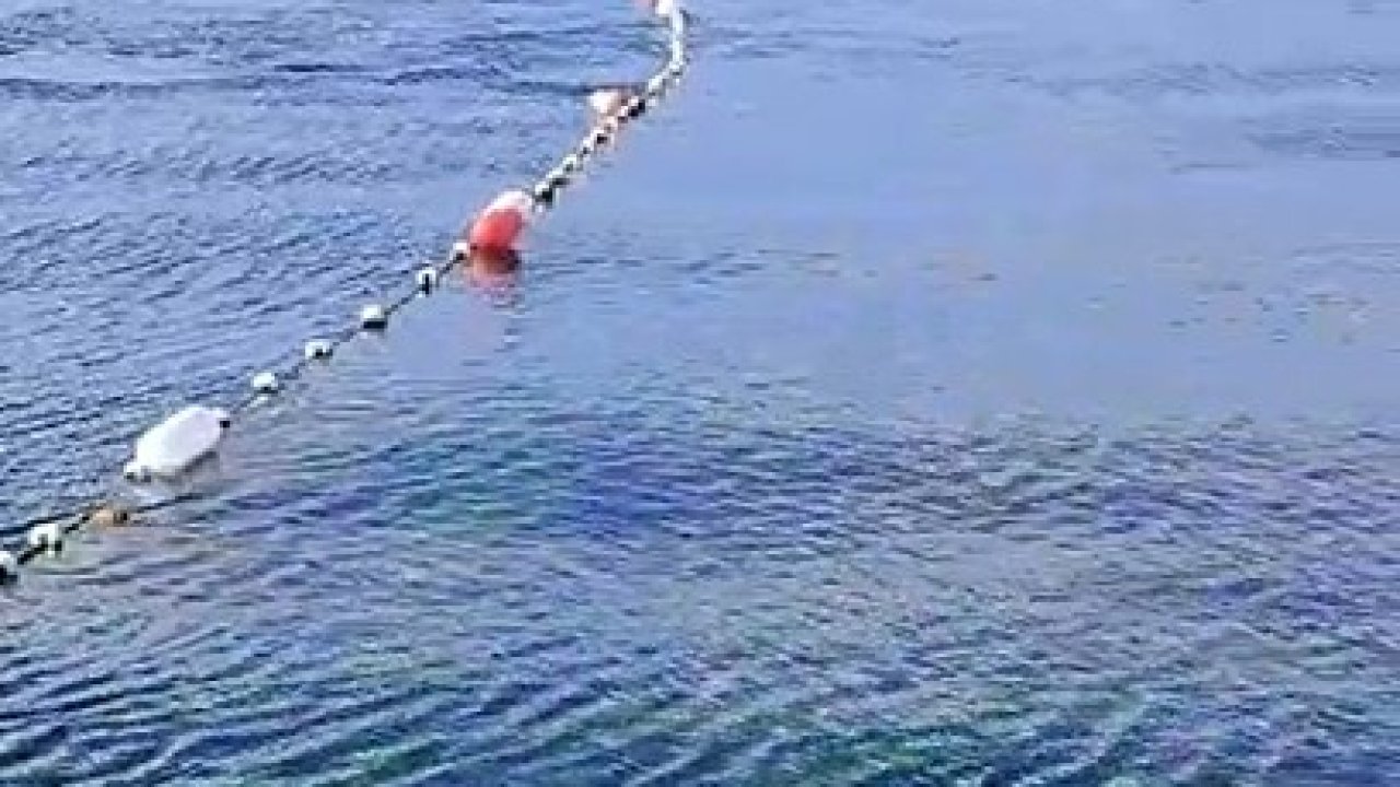 Caddebostan’da yunuslarla vatandaşın yüzme keyfi kamerada