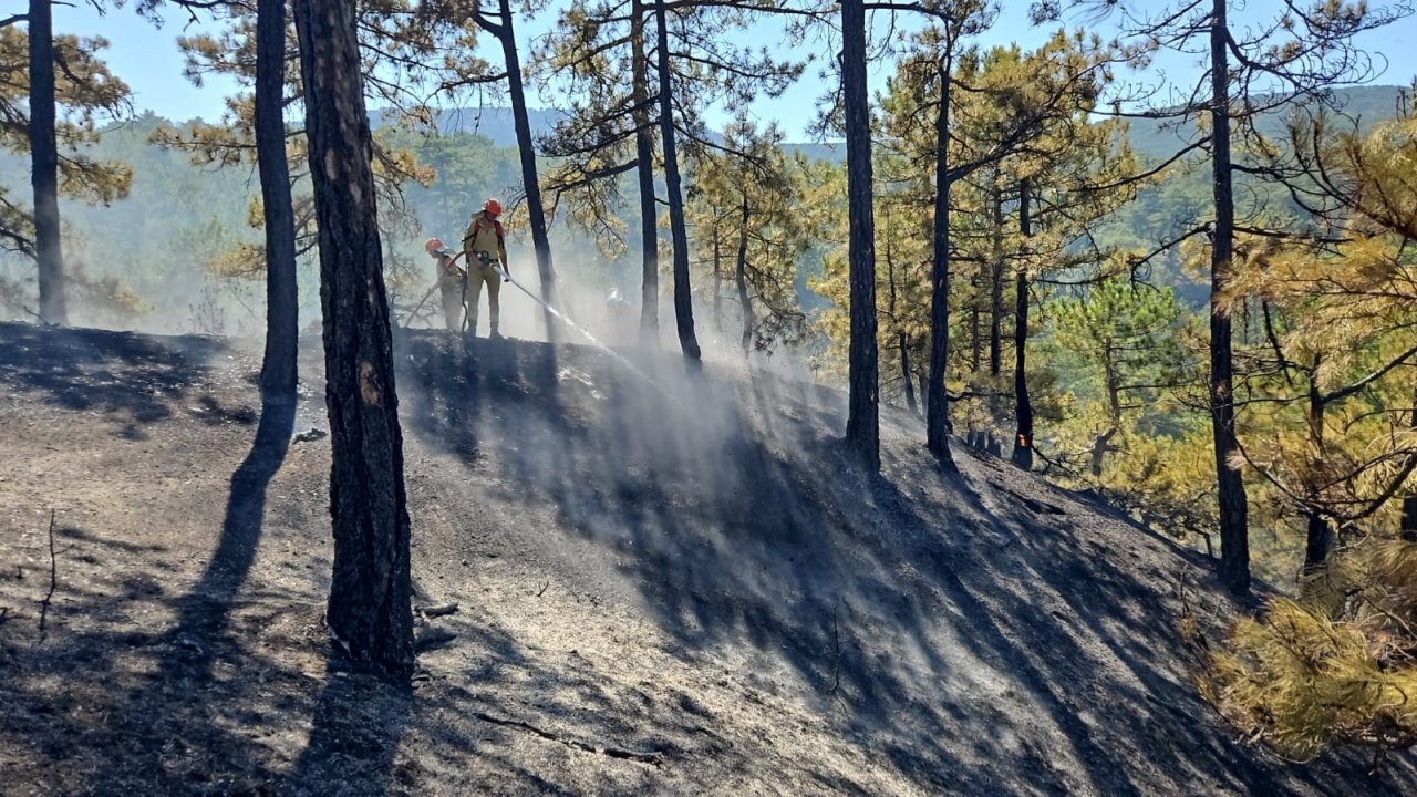 Denizli’deki orman yangınında 165 hektar alan kül olmaktan kurtarıldı