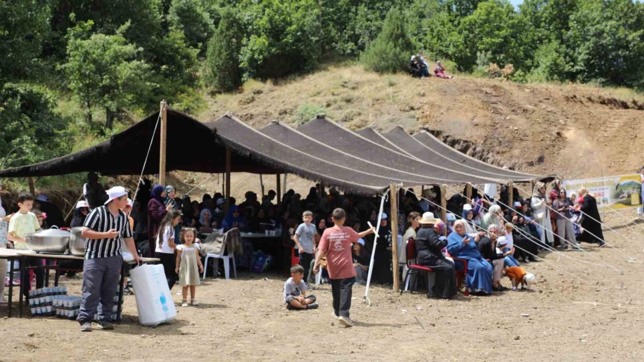 Bayburt’un Dövmekaya köyünde piknik şöleni düzenlendi