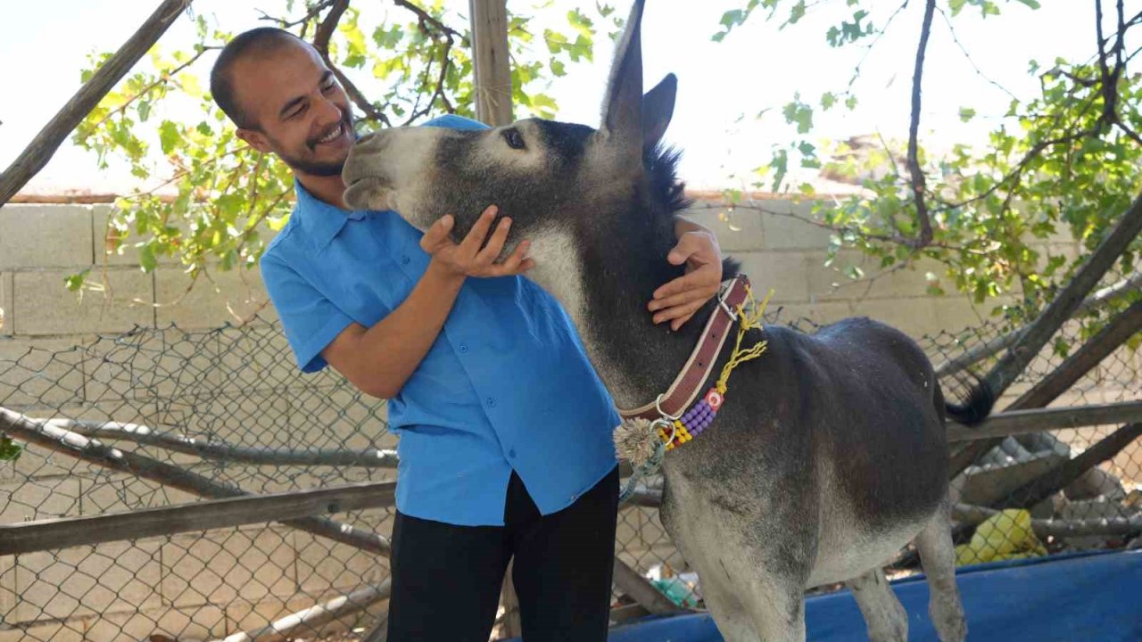 Annesi ölen eşeğe gözü gibi bakıyor