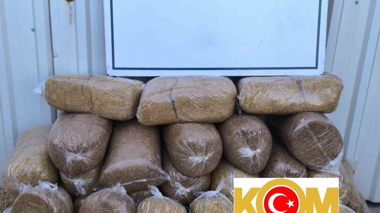 Bandırma’da kaçak tütün operasyonu, 170 kilo tütün ele geçirildi