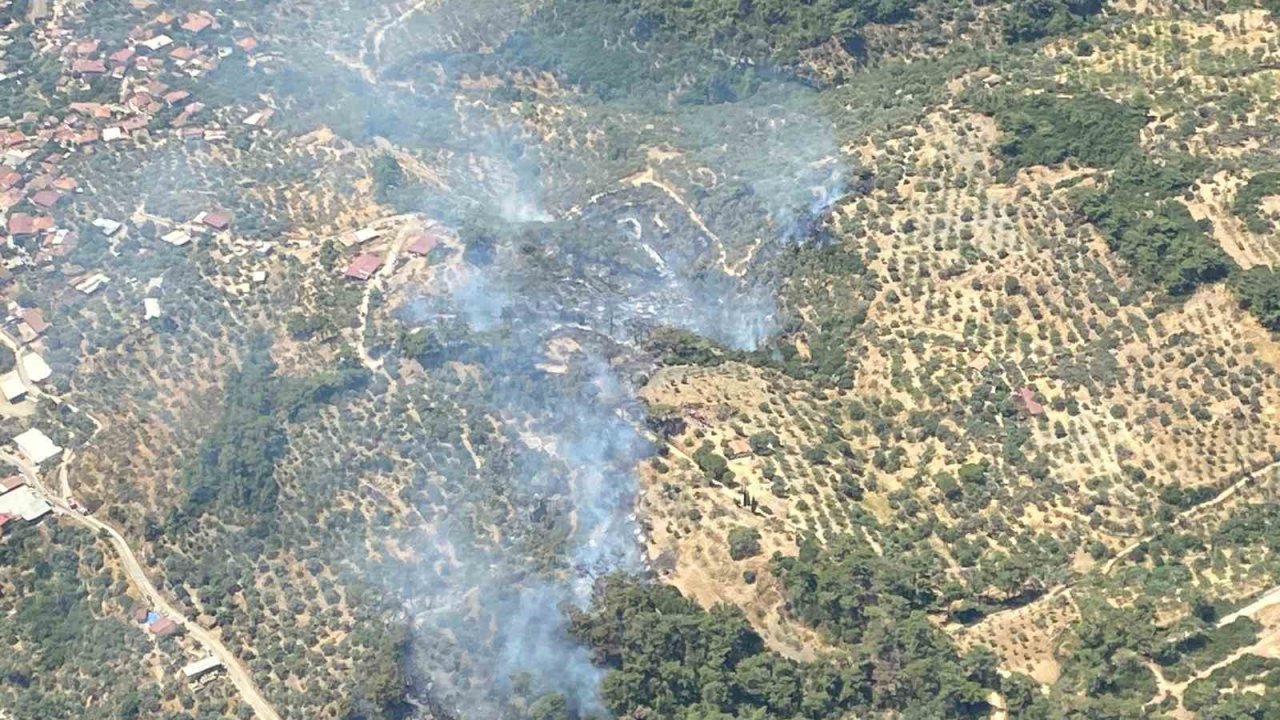 Germencik’te orman yangını