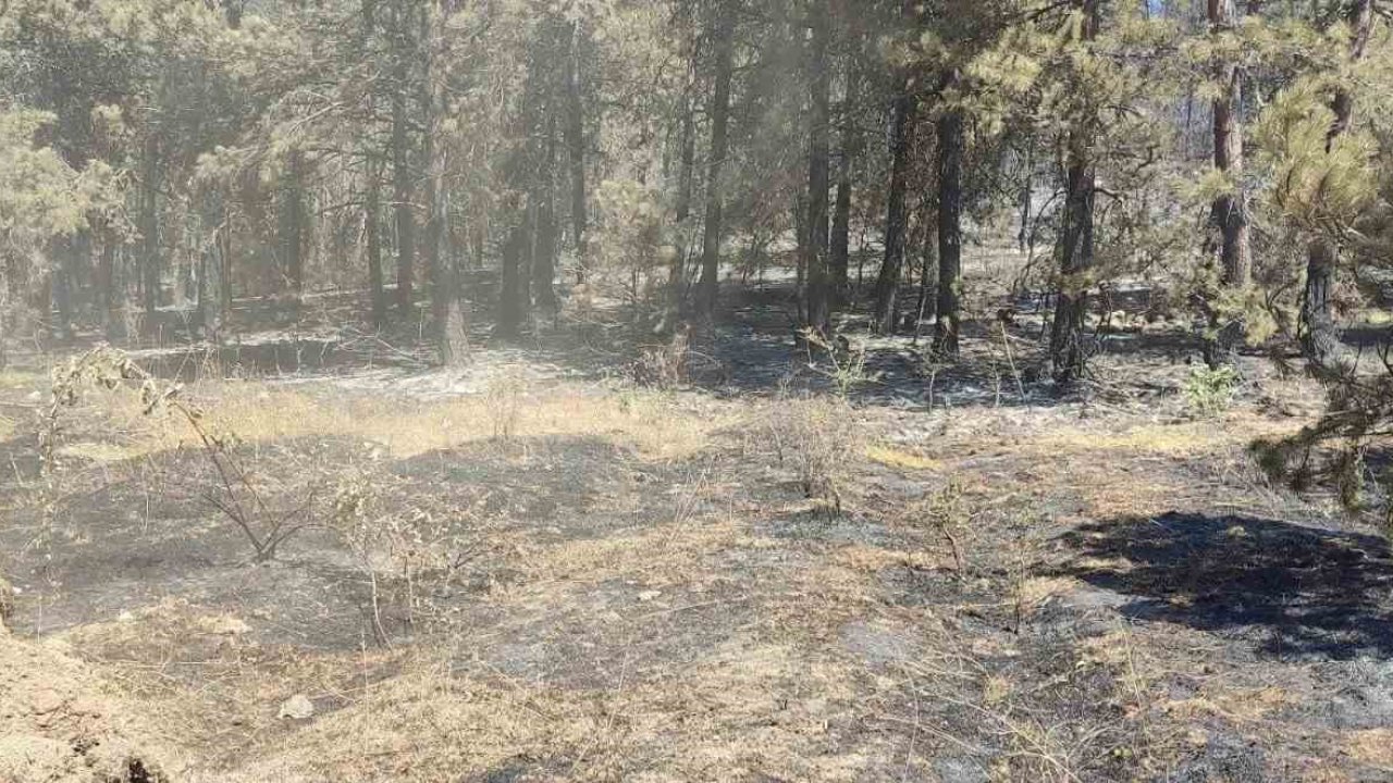 Sinop’taki orman yangınında soğutma çalışmaları sürüyor