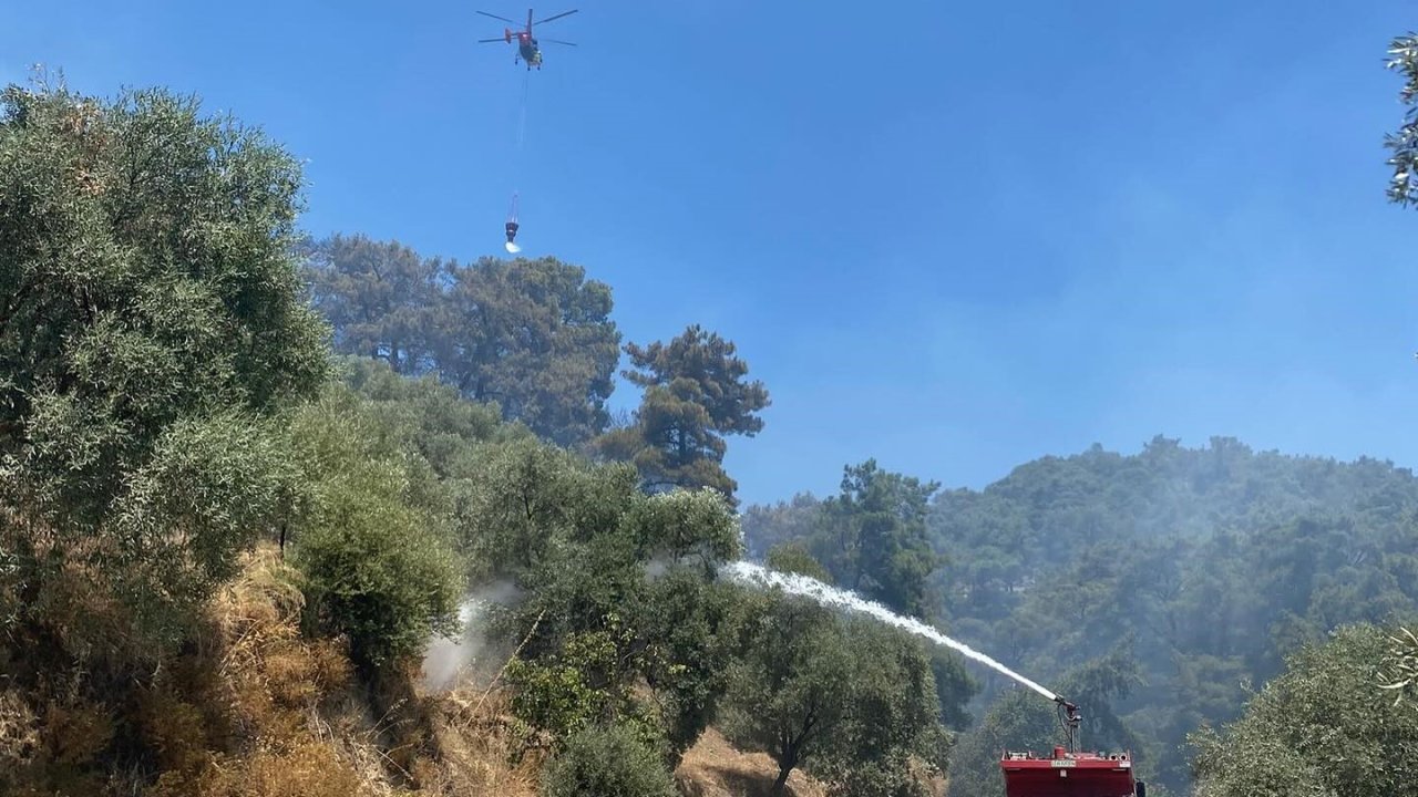 Germencik’teki orman yangını kontrol altına alındı