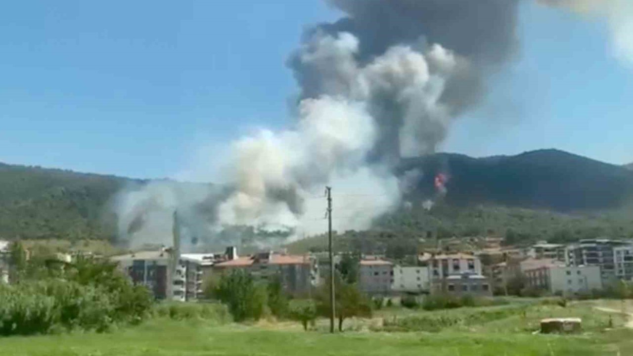 Soma’da orman yangını