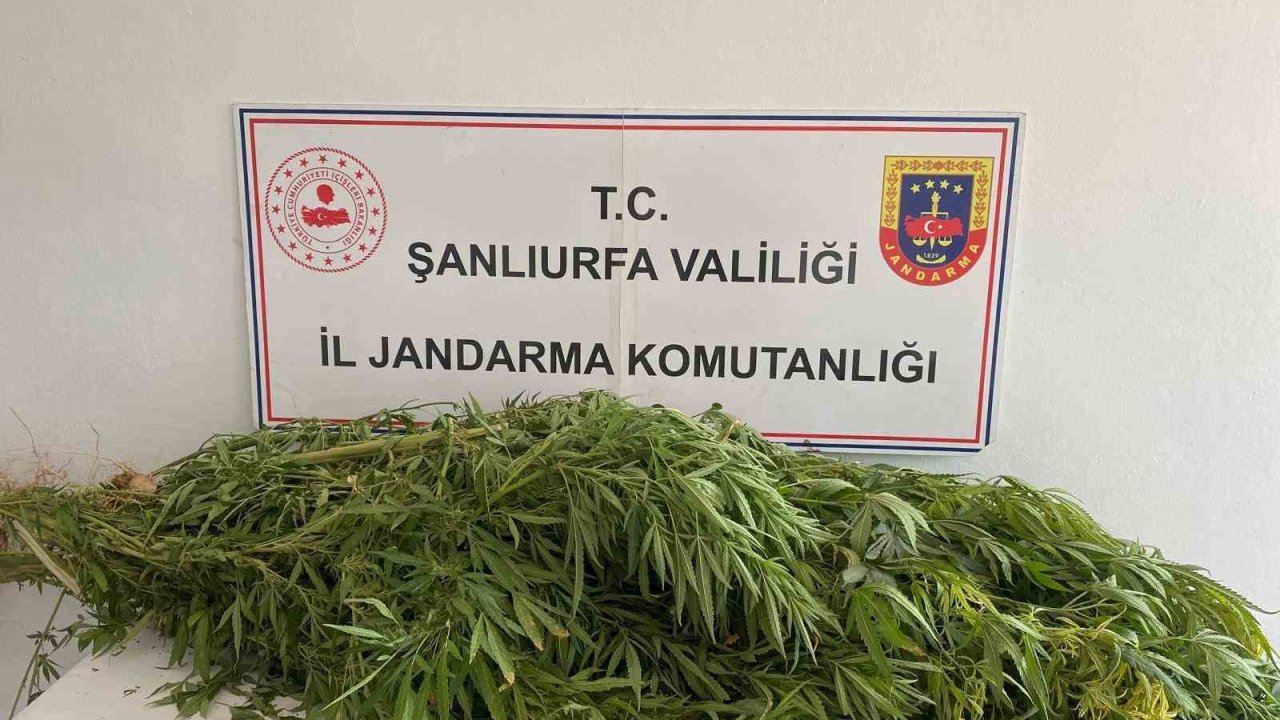 Şanlıurfa’da uyuşturucu operasyonu: 2 gözaltı