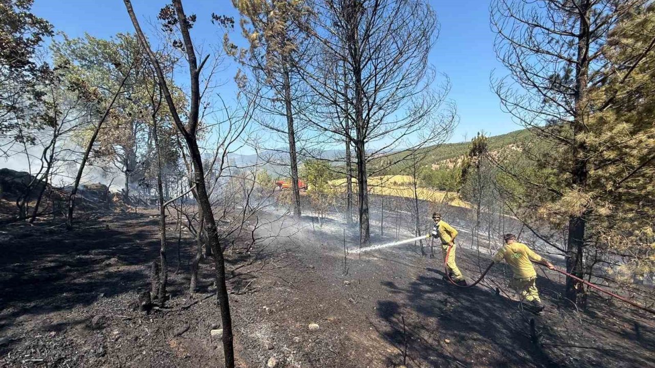 Kastamonu’da ormanlık alanda çıkan yangında samanlık, kümes ve baraka kullanılamaz hale geldi