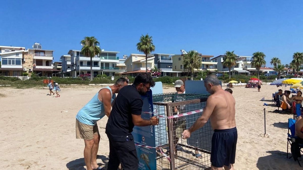 Işık kirliliği yönlerini şaşırttı, gönüllüler kurtardı