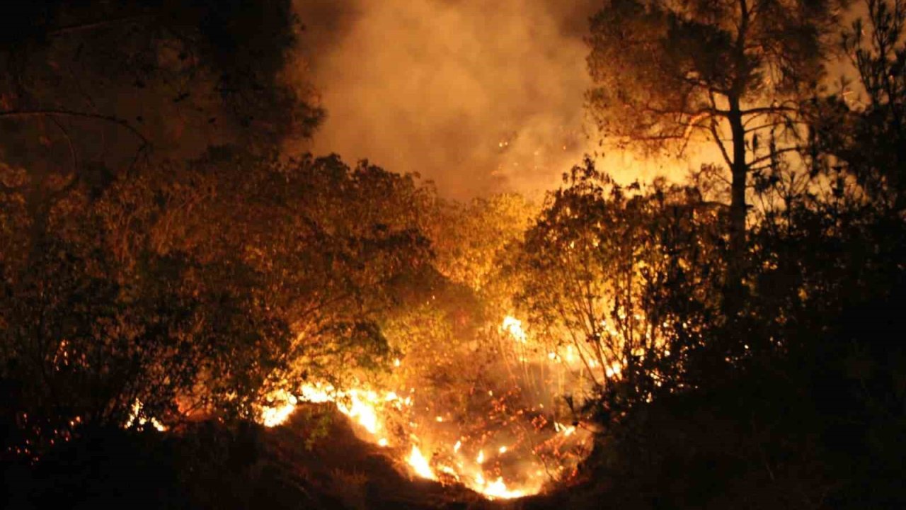 Çanakkale’de yangın etkisini sürdürüyor... Ekiplerin müdahalesi gece de sürüyor