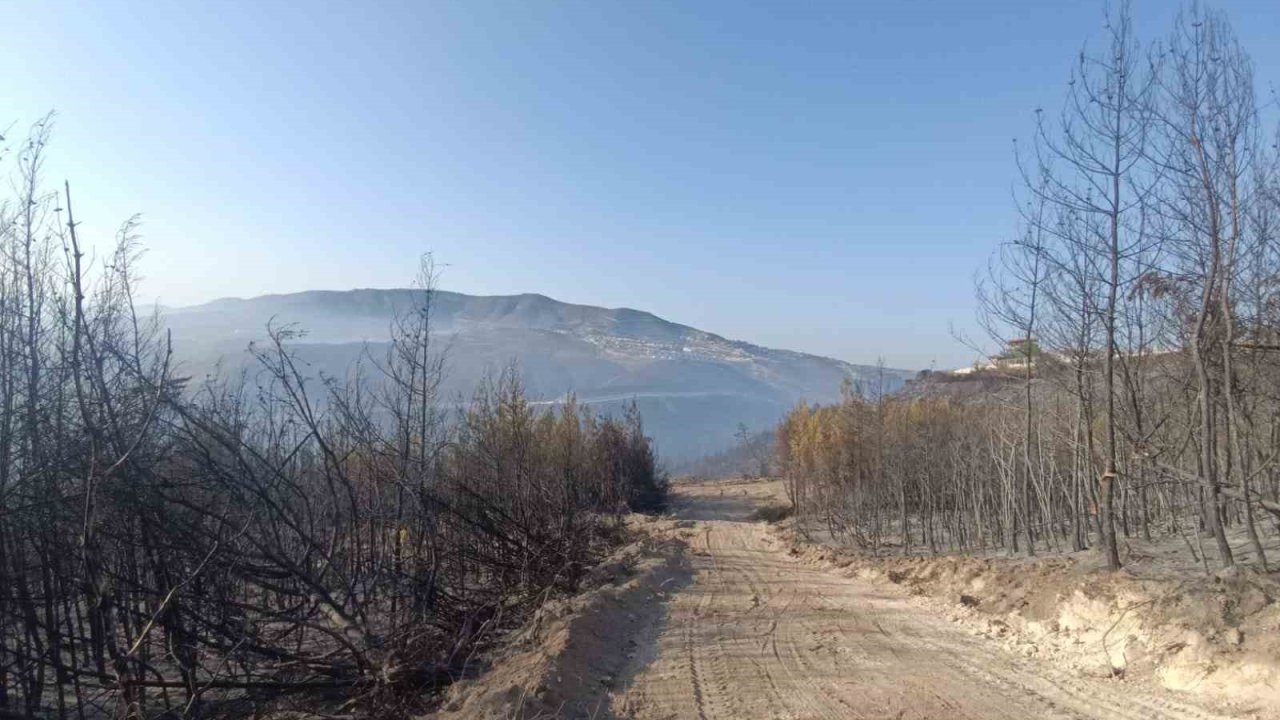 Hatay’da orman yangını kontrol altına alındı