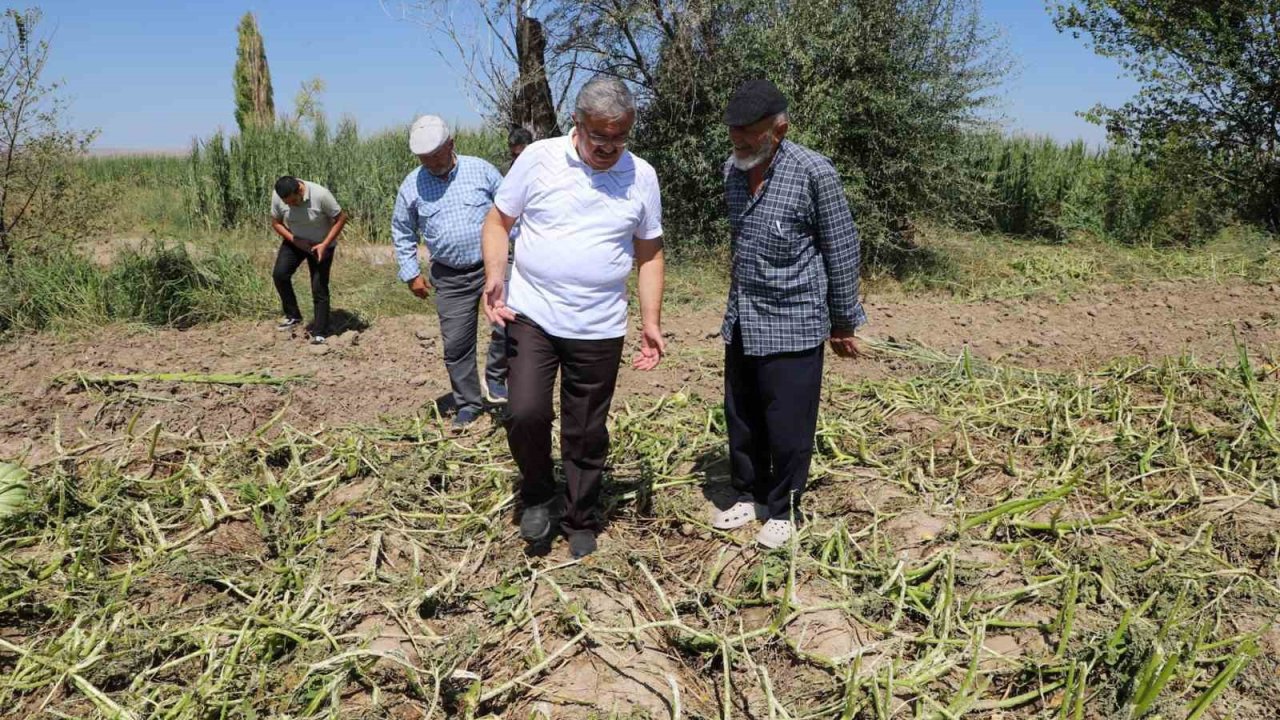 Milletvekili Yurdunuseven zarar gören tarım arazilerini inceledi