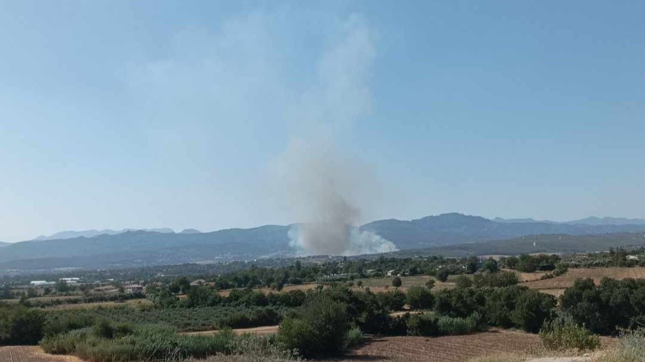 Osmaniye’nin Sumbas ilçesinde orman yangını başladı