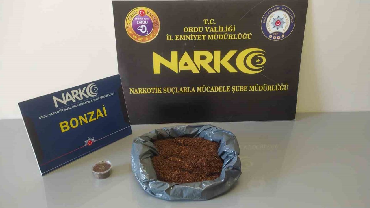 Ordu’da uyuşturucu operasyonlarında 2 tutuklama