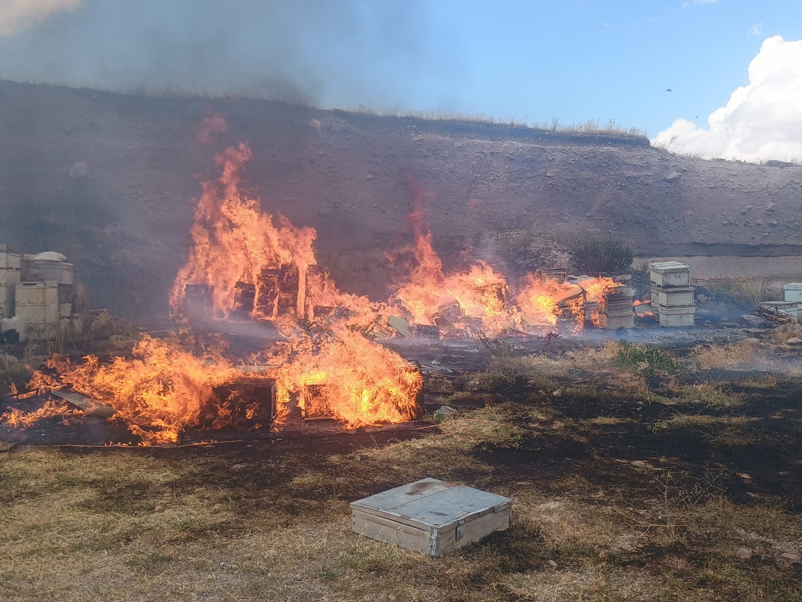 Kars'ta Arı harmanı yanarak kül oldu!