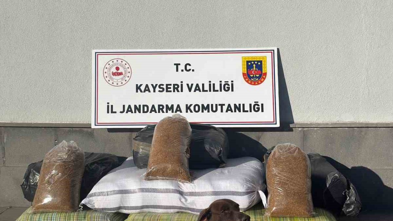 Kimlik kontrolü için durdurulan otobüsten 230 kilogram kaçak tütün çıktı