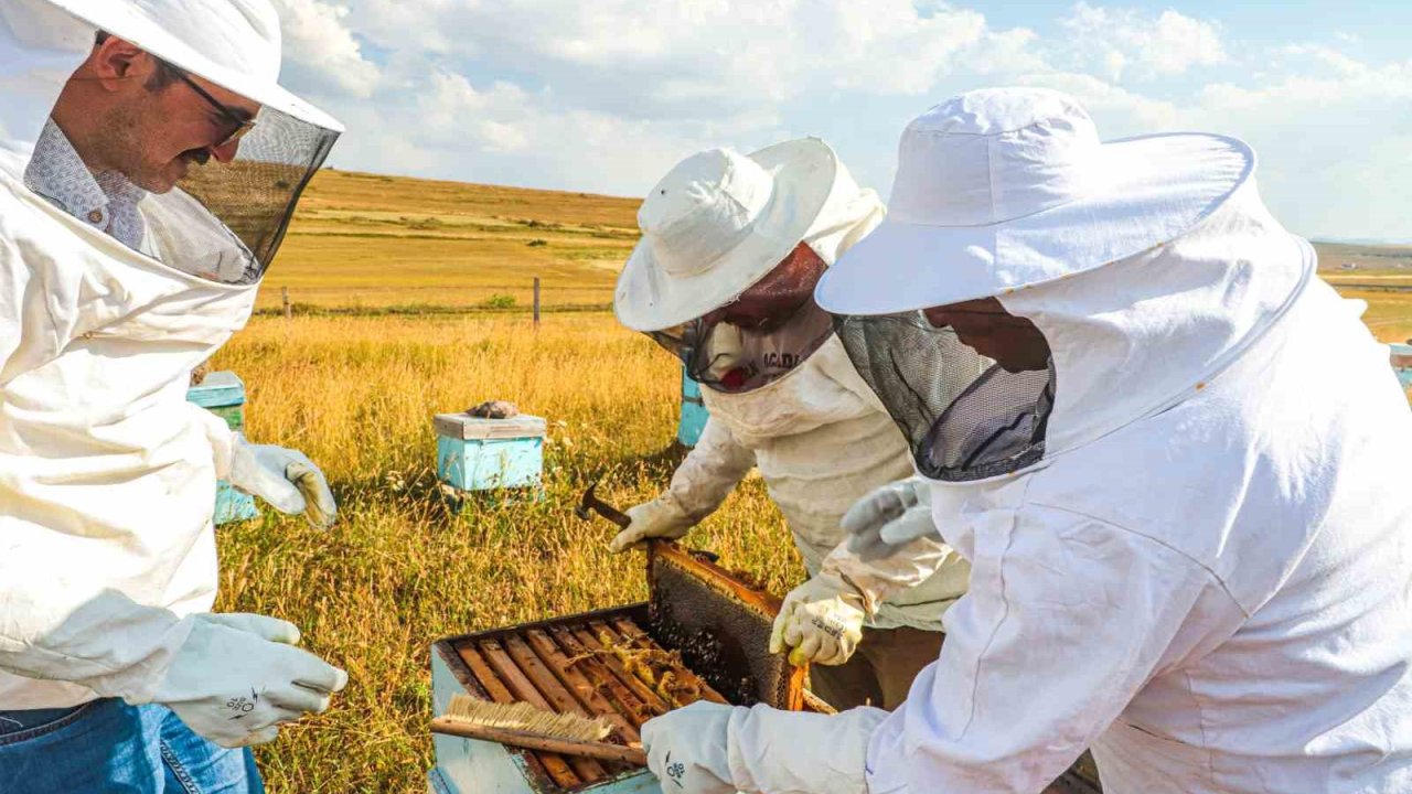 Bayburt’ta bal hasadı sezonu başladı
