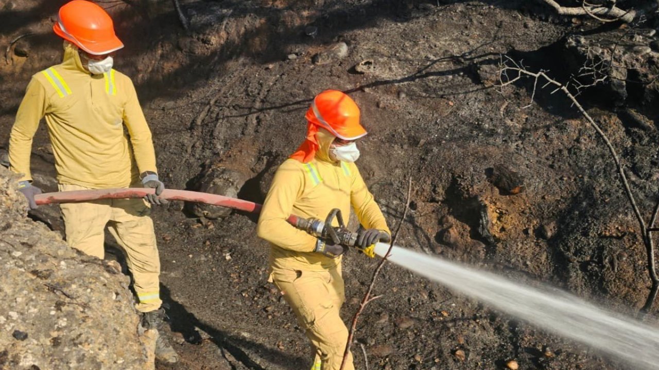 Uşak’taki orman yangını kontrol altına alındı