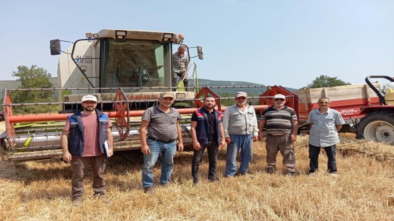 Gölpazarı’nda hasat kontrolleri tüm hızıyla sürüyor