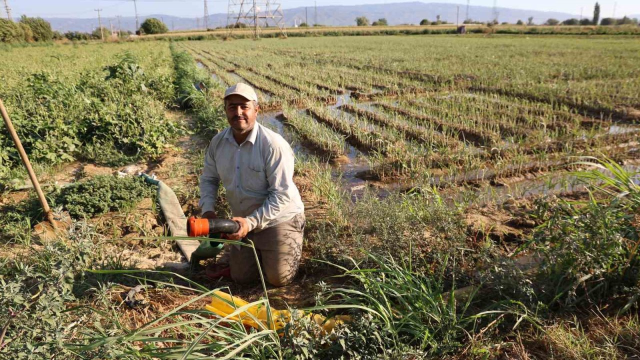 Aydın’da su kıtlığı çiftçilerin mesai saatlerini değiştirdi