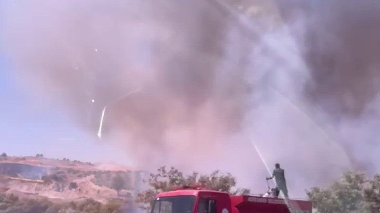 Anız yangını bahçeye sıçradı