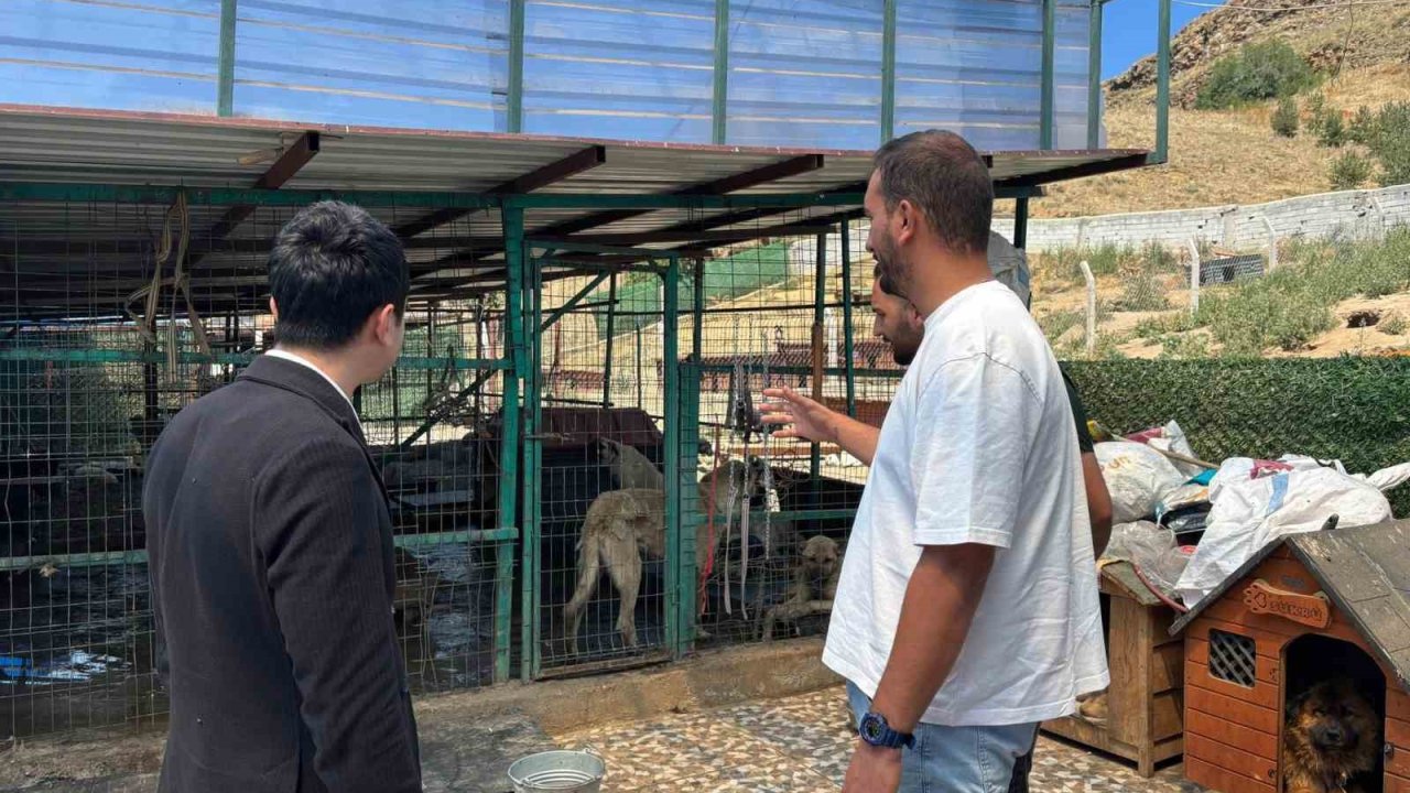 Kaymakam Tutal, Hayvan Barınağı’nda incelemelerde bulundu