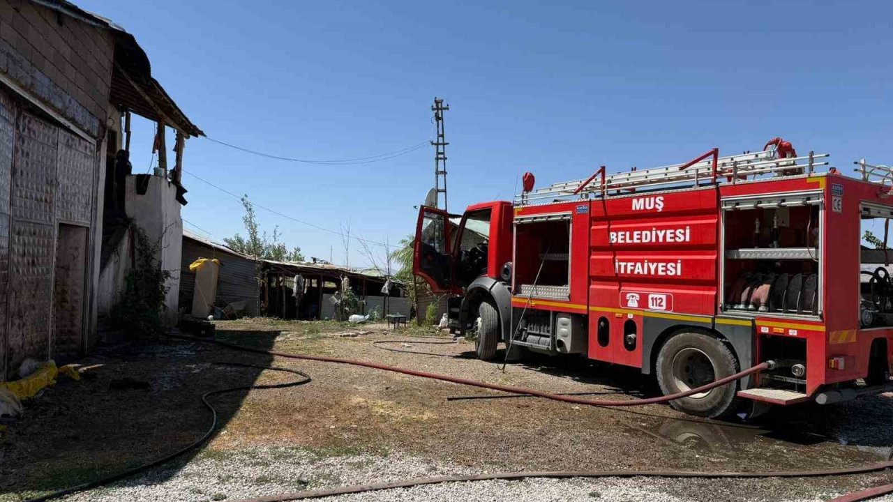 Muş’ta ev ve samanlık yangını