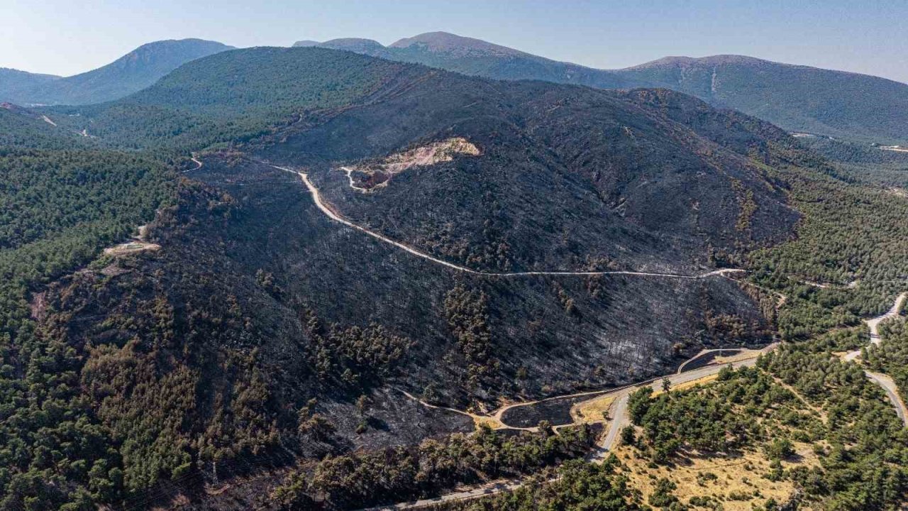 Soma’daki orman yangınında soğutma çalışmaları sürüyor