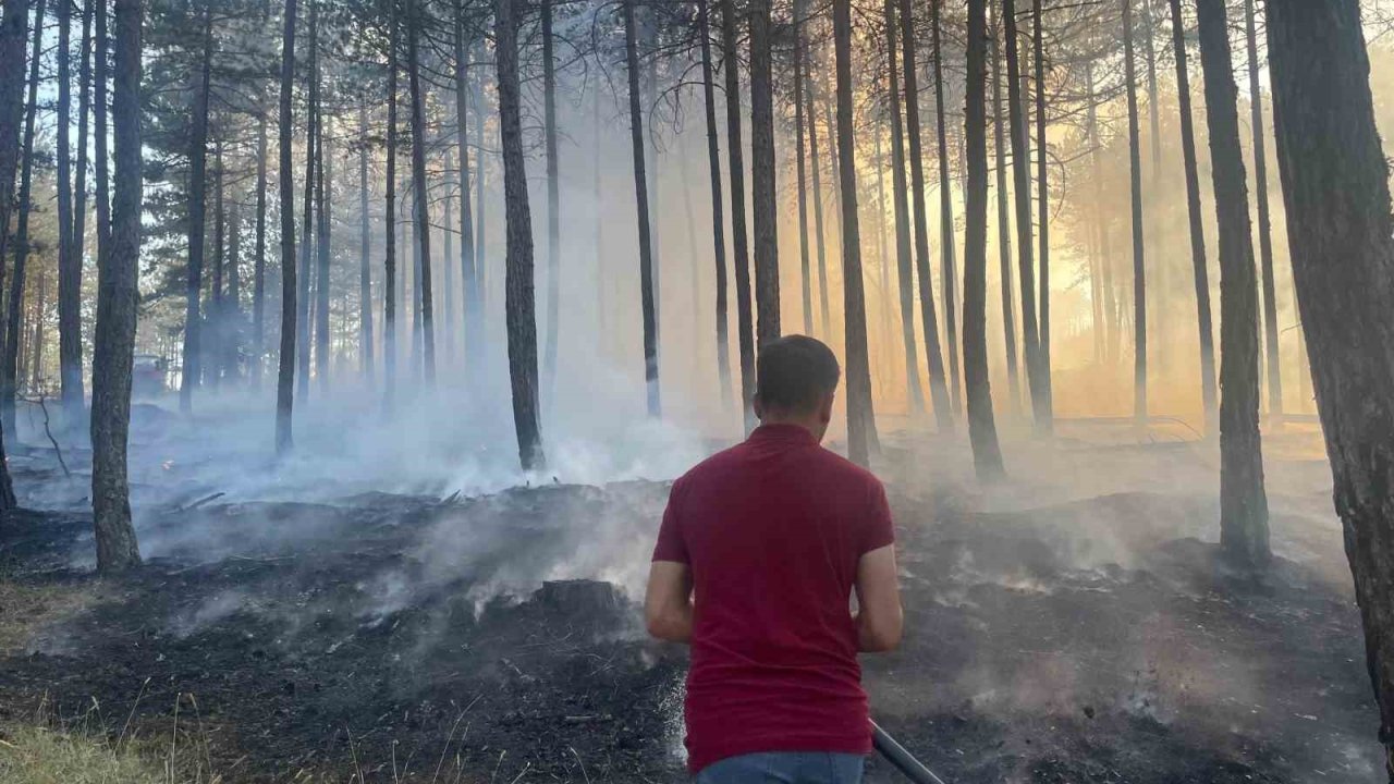 Hanönü’de çıkan orman yangını söndürüldü