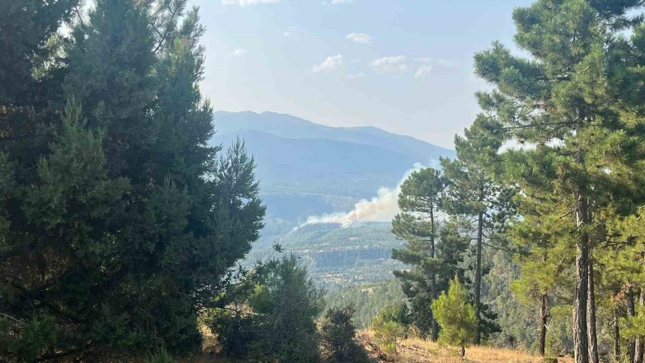 Denizli’de orman yangını