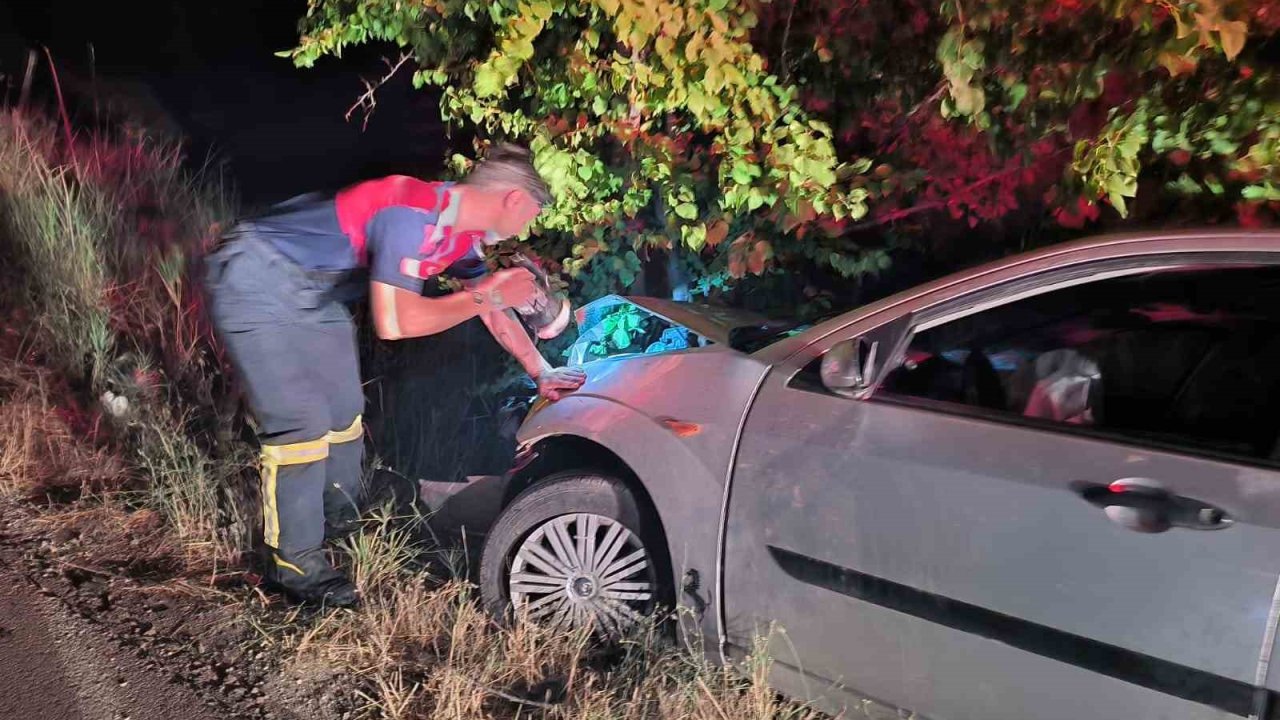 Çorum’da kontrolden çıkan otomobil ağaca çarptı: 2 yaralı