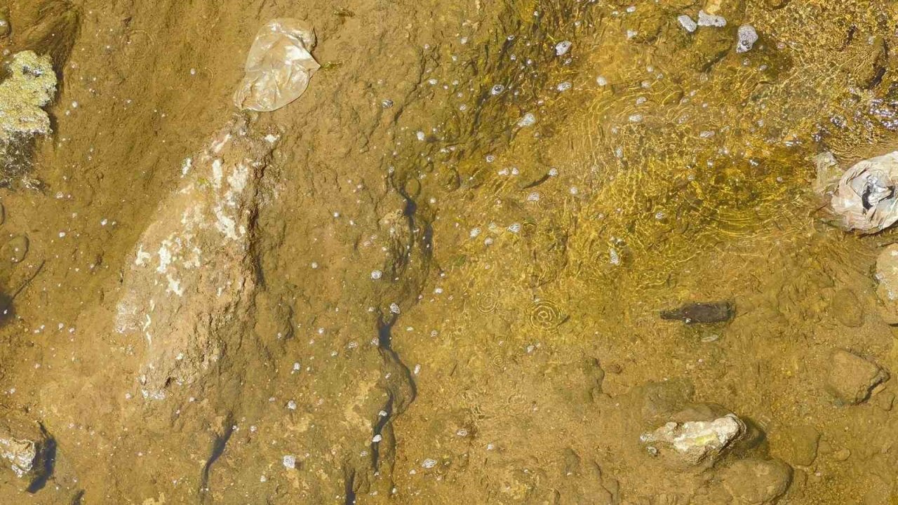 Muradiye Bendimahi Çayı’nda su seviyesi düştü: Siraz balığı yavruları tehlikede