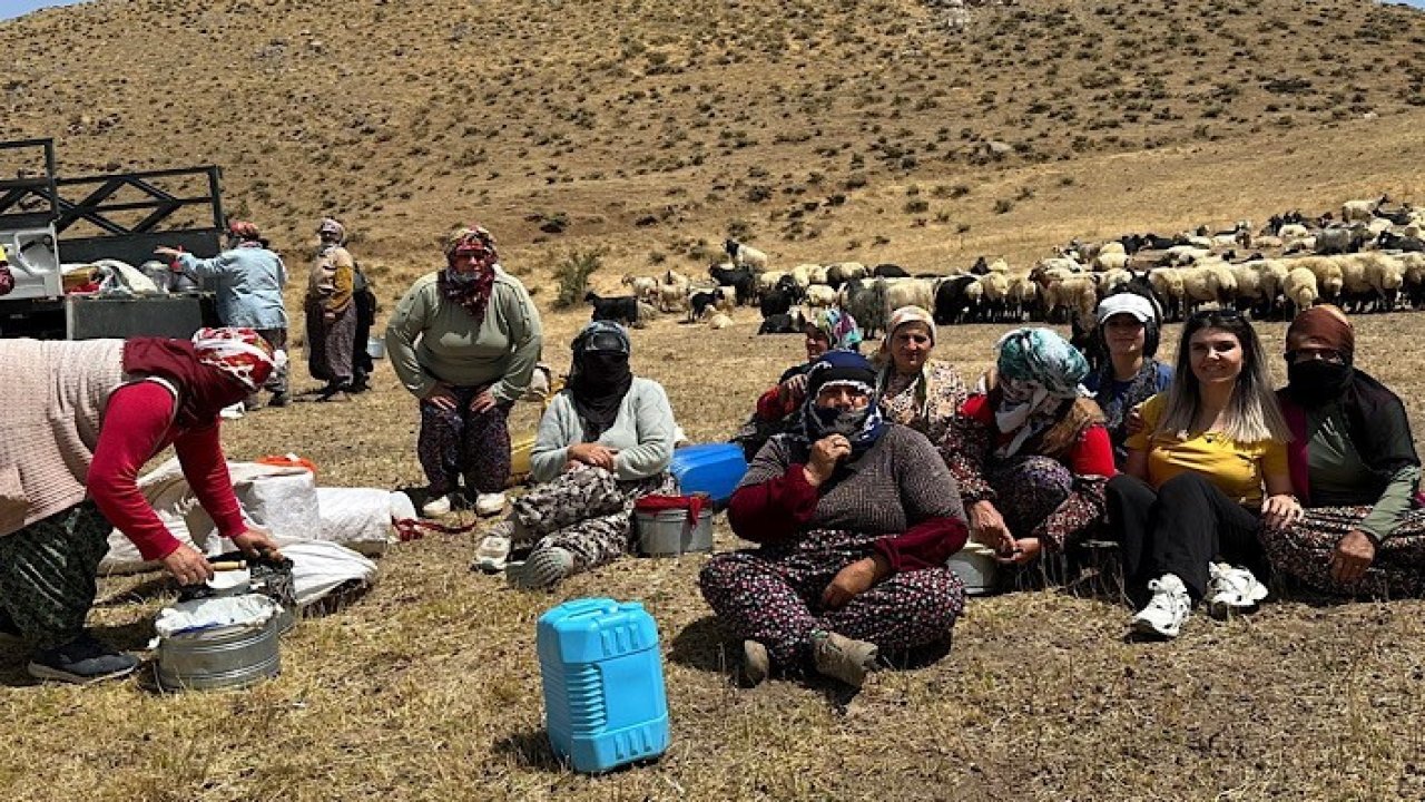 Yüksekova’da süt hijyeni eğitimi sürüyor