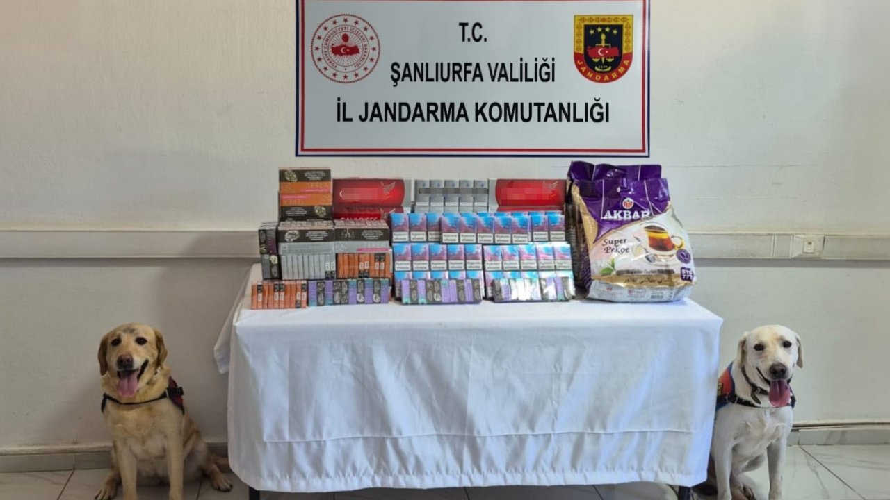 Şanlıurfa’da tütün ve alkol kaçakçılarına darbe